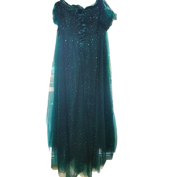 Green & Silver Stars & Moons Sequined Formal Dress (28W) - Picture 4 of 8